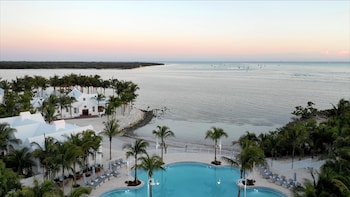 Dine under the shade of tall palm trees with ocean views.