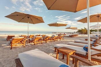 Outdoor pool, pool umbrellas, sun loungers