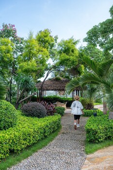 Bar (in der Unterkunft)