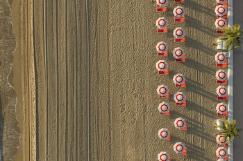 Premium bedding, down comforters, minibar, in-room safe