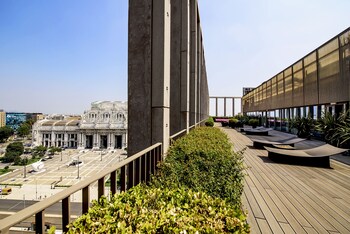 Terras