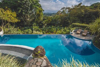 Outdoor pool, pool loungers