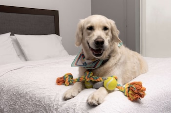 Free daily on-the-go breakfast