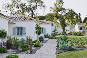 فطور أوروبي مجانًا يوميًا