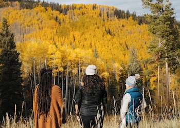 Alberca al aire libre, camas balinesas (con cargo) y camastros