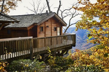 Tree House, 1 King Bed (Cooper's Hawk, Adults Only) | View from room