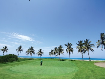 Alberca al aire libre, sombrillas en la alberca y camastros