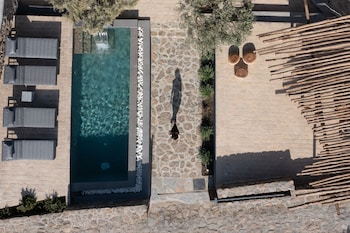 Merchia Standard Suite with Private Pool | Alberca privada