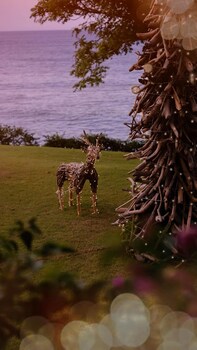 2 restaurants, breakfast, lunch, dinner served; international cuisine