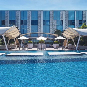 Outdoor pool, sun loungers