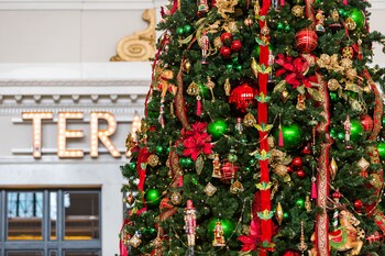 Vue depuis l’hébergement