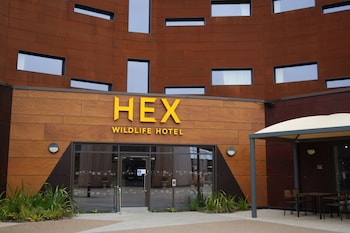 Hypo-allergenic bedding, pillow-top beds, in-room safe, desk