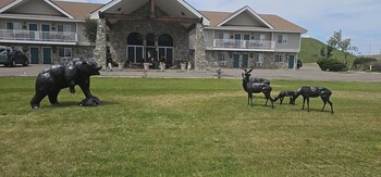 أغطية فراش متميزة وبديكورات فريدة لكل غرفة وطراز فريد لكل وحدة ومكتب