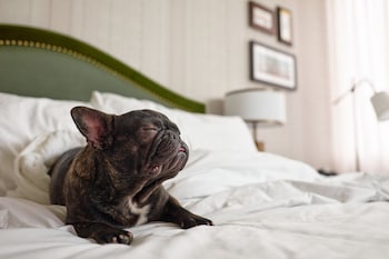 Se sirven desayunos, comidas y cenas