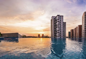 Outdoor pool, sun loungers