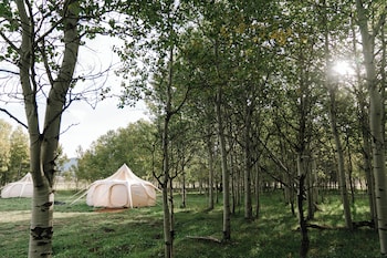 A tented room with a bed, bedside tables, and a wooden bench.