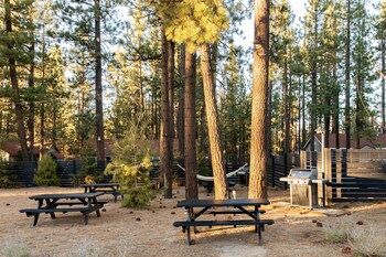 Orville's Lodge | Terrasse/Patio