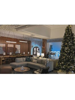 Servicio de la propiedad