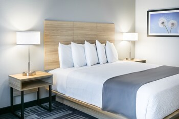 Room, 1 King Bed