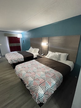 Habitación individual Confort, 1 cama King size | 1 habitación y ropa de cama