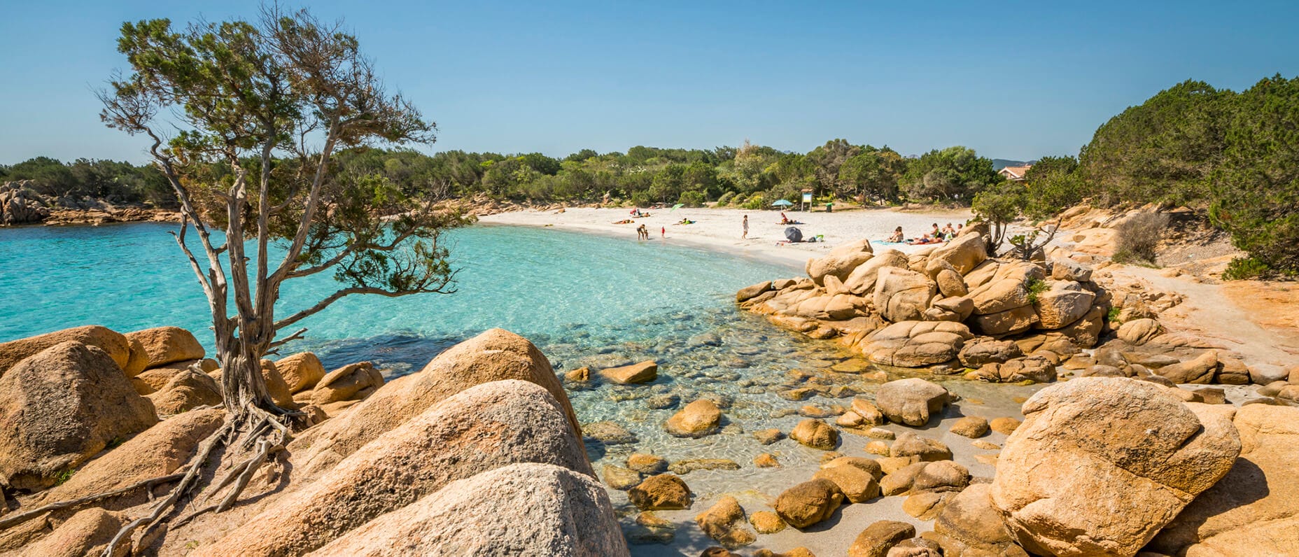 Explore the list of 2026’s trending destinations 