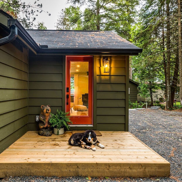 View pet-friendly homes