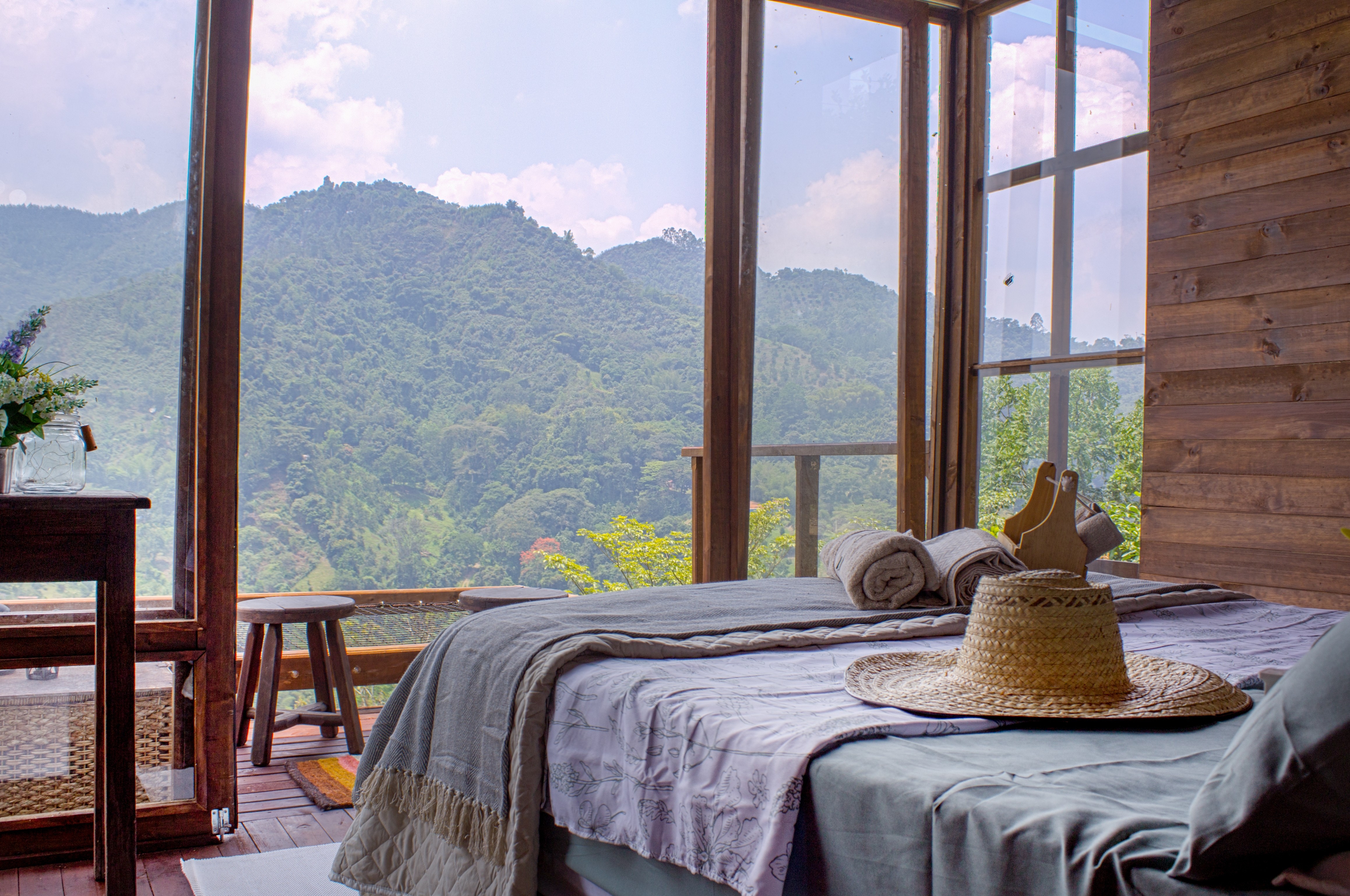 rainforest hotel room