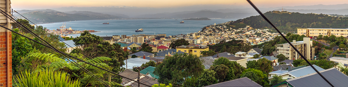 Sunset over Wellington city harbor, New Zealand