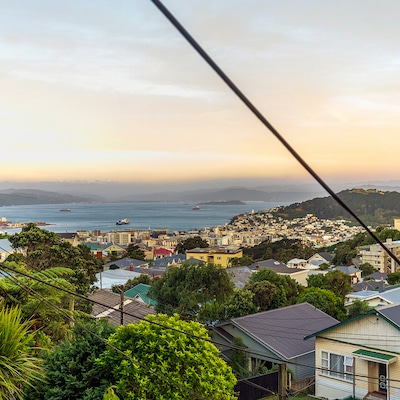 Sunset over Wellington city harbor, New Zealand