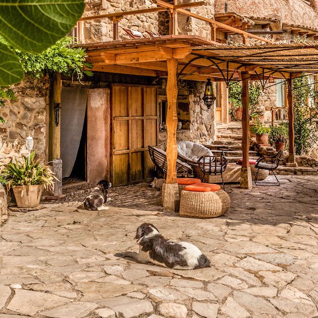 Recherchez des locations de vacances où les animaux de compagnie sont admis