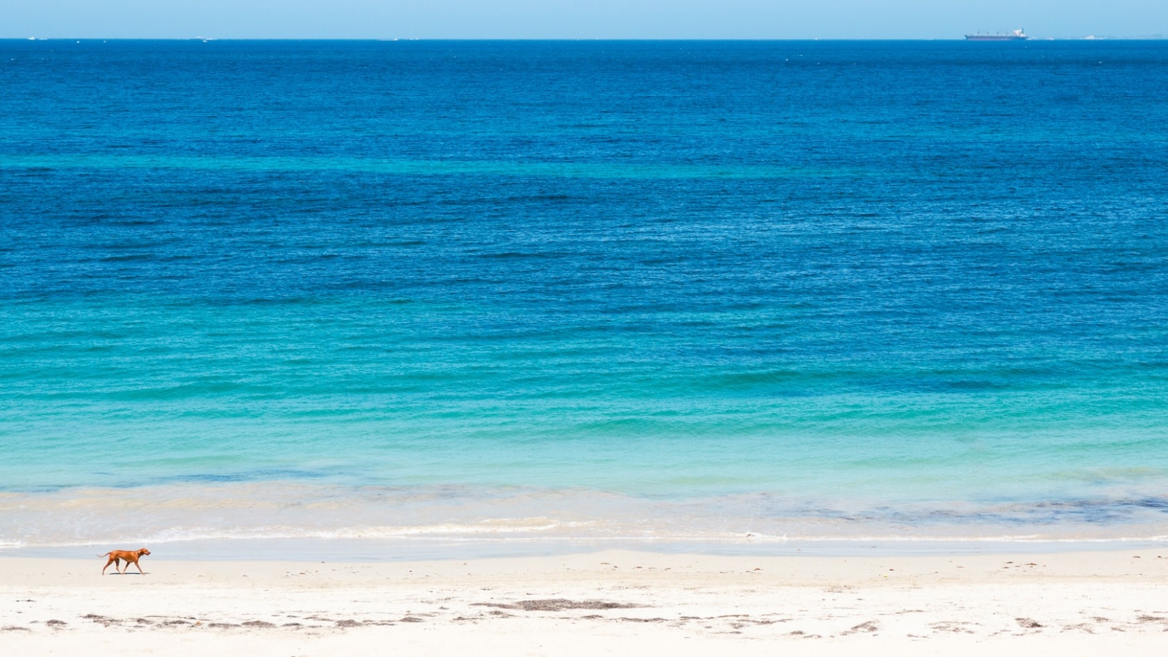 Black Friday Travel Deals Wotif