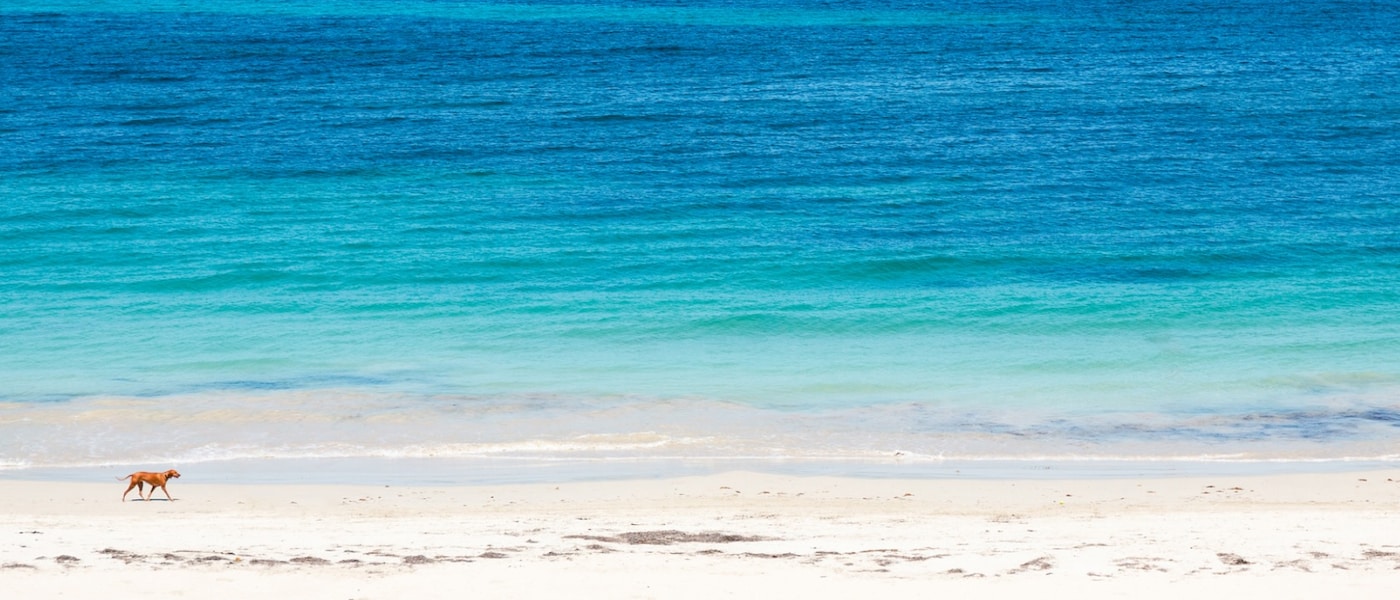 Black Friday Travel Deals Wotif