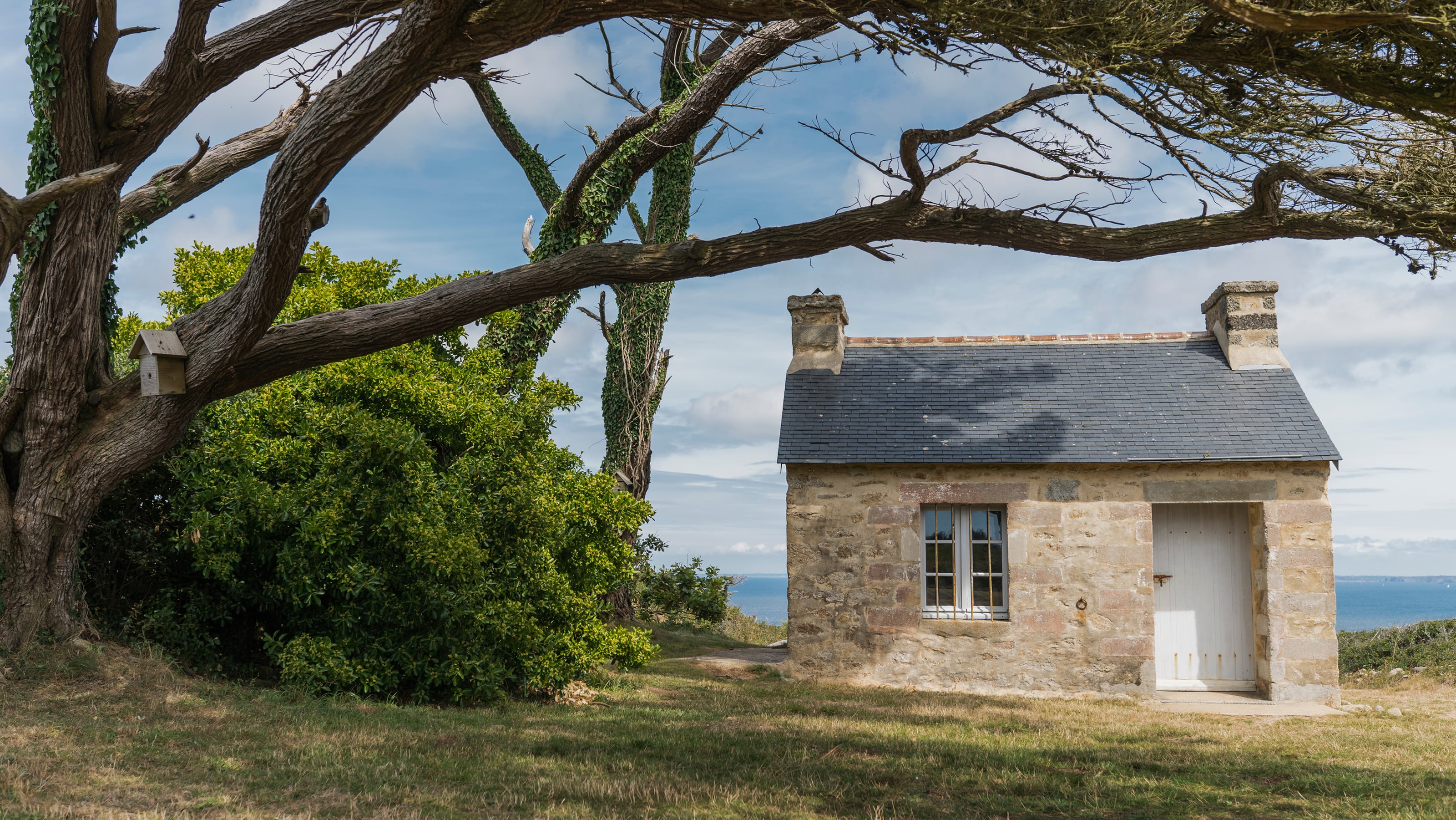 Une maison de campagne chaleureuse sur la côte, entourée d’arbres en été