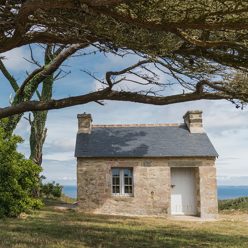 A cozy country house on the coast surrounded by trees in summer