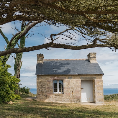 A cozy country house on the coast surrounded by trees in summer