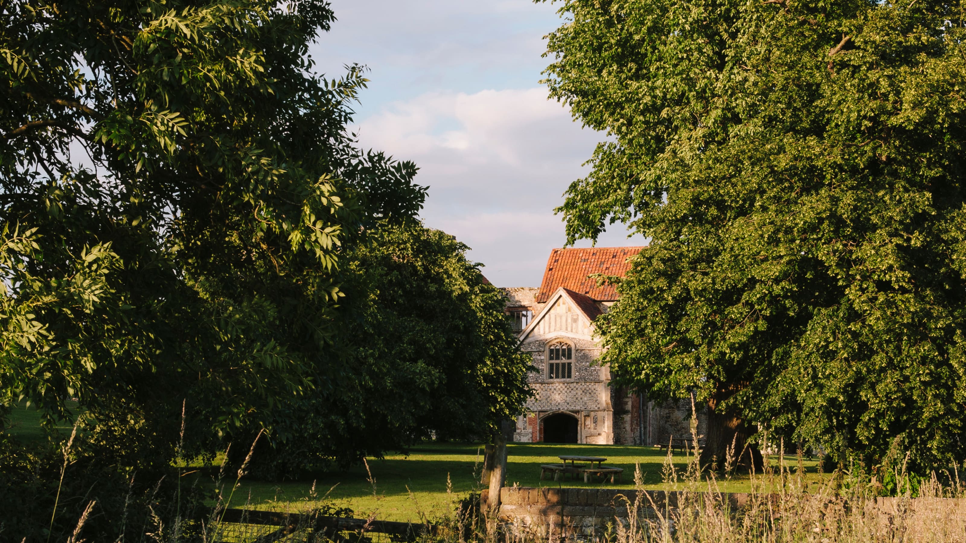 View through trees and tall grasses across the lawn to a charming property.