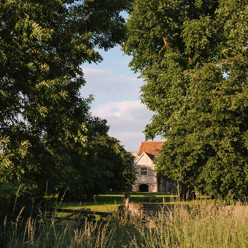 View through trees and tall grasses across the lawn to a charming property.