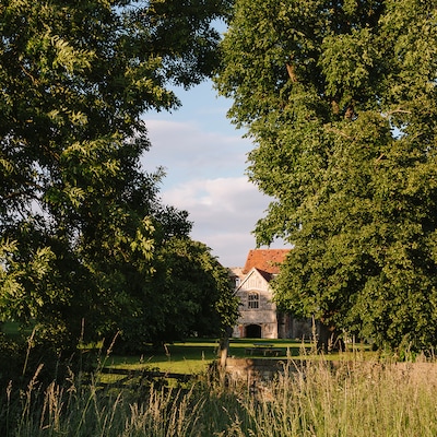 View through trees and tall grasses across the lawn to a charming property.