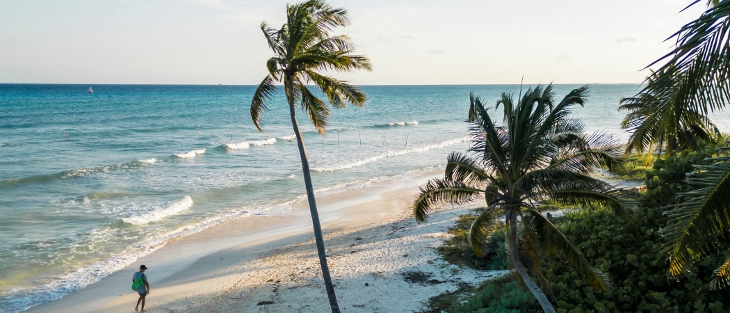 A traveler walking along a deserted beach with palm trees and bright blue ocean.