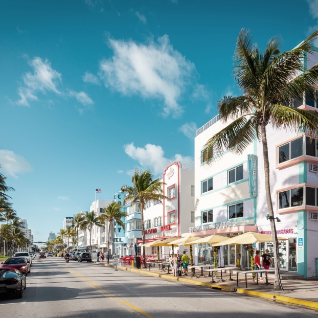 Discover destinations in Florida