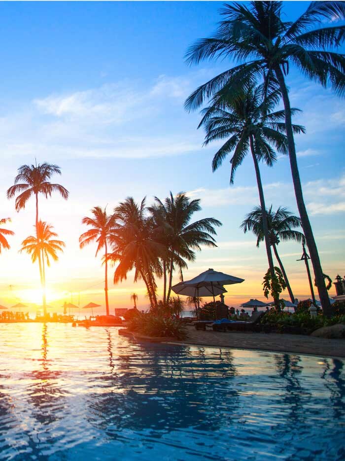 Disfruta el clima soleado