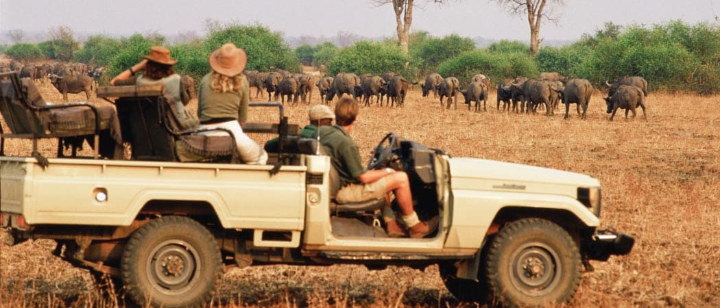 Zambia