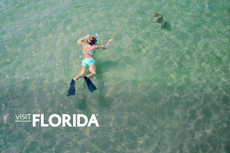 A person wearing swim fins and a snorkel mask is paddling in crystal-clear waters on a sunny day. A stingray swims off to the side.