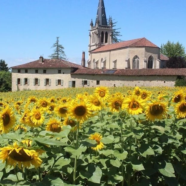 Trouvez une location de vacances dans les Landes