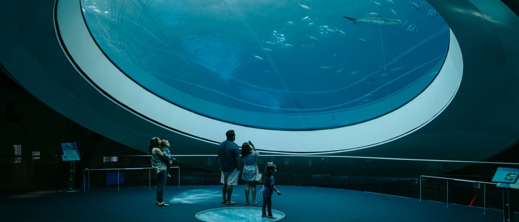 Miami is more than white sand beaches and buzzing nightlife.