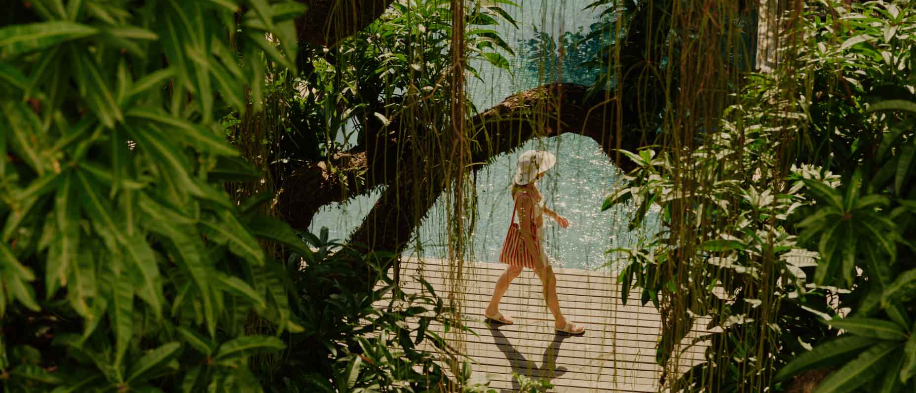 Une personne marche sur une terrasse près de l’océan, avec de la verdure tropicale au premier plan.