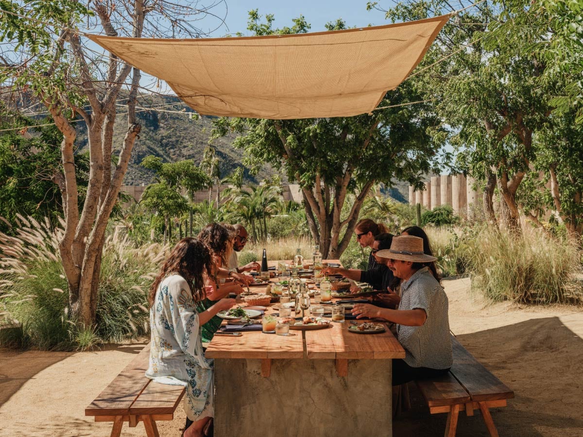 Discover six hotels with restaurants worth traveling for. 
