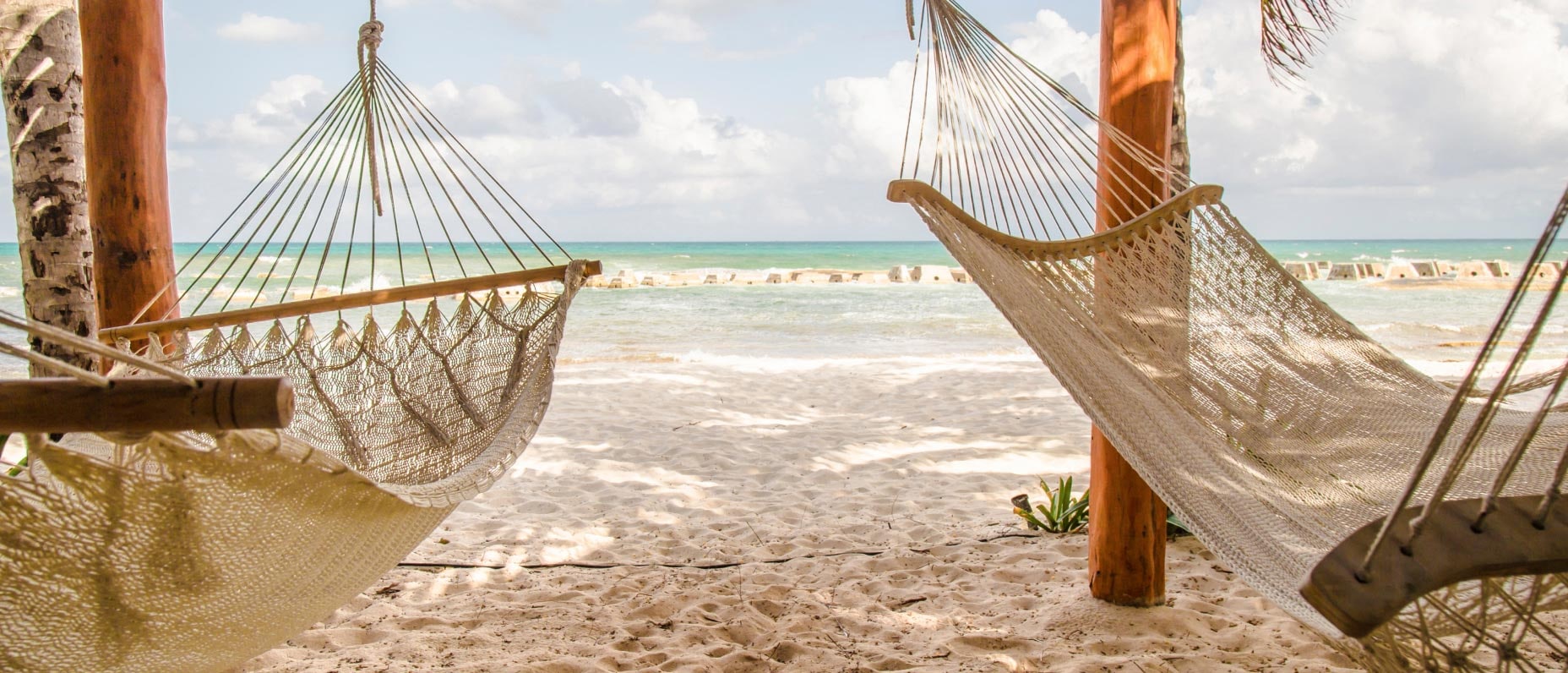 A tropical beach with two hammocks