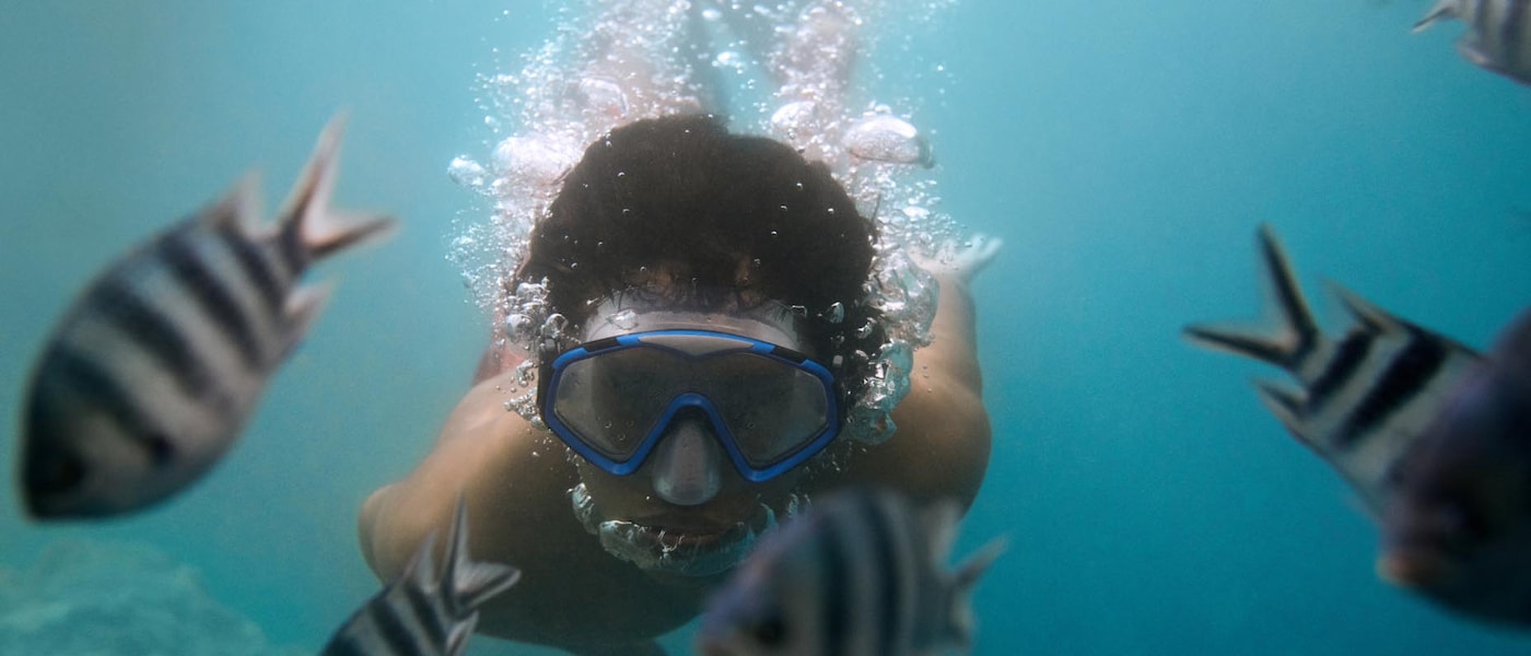 Eine Person mit kurzen dunklen Haaren schwimmt unter Wasser mit einer Taucherbrille. Vor ihr schwimmen mehrere schwarzweiß gestreifte Fische.