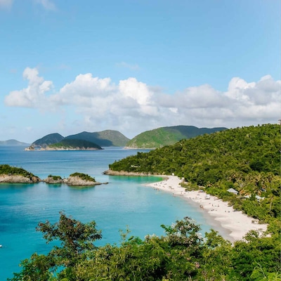 An aerial view of a tropical beach